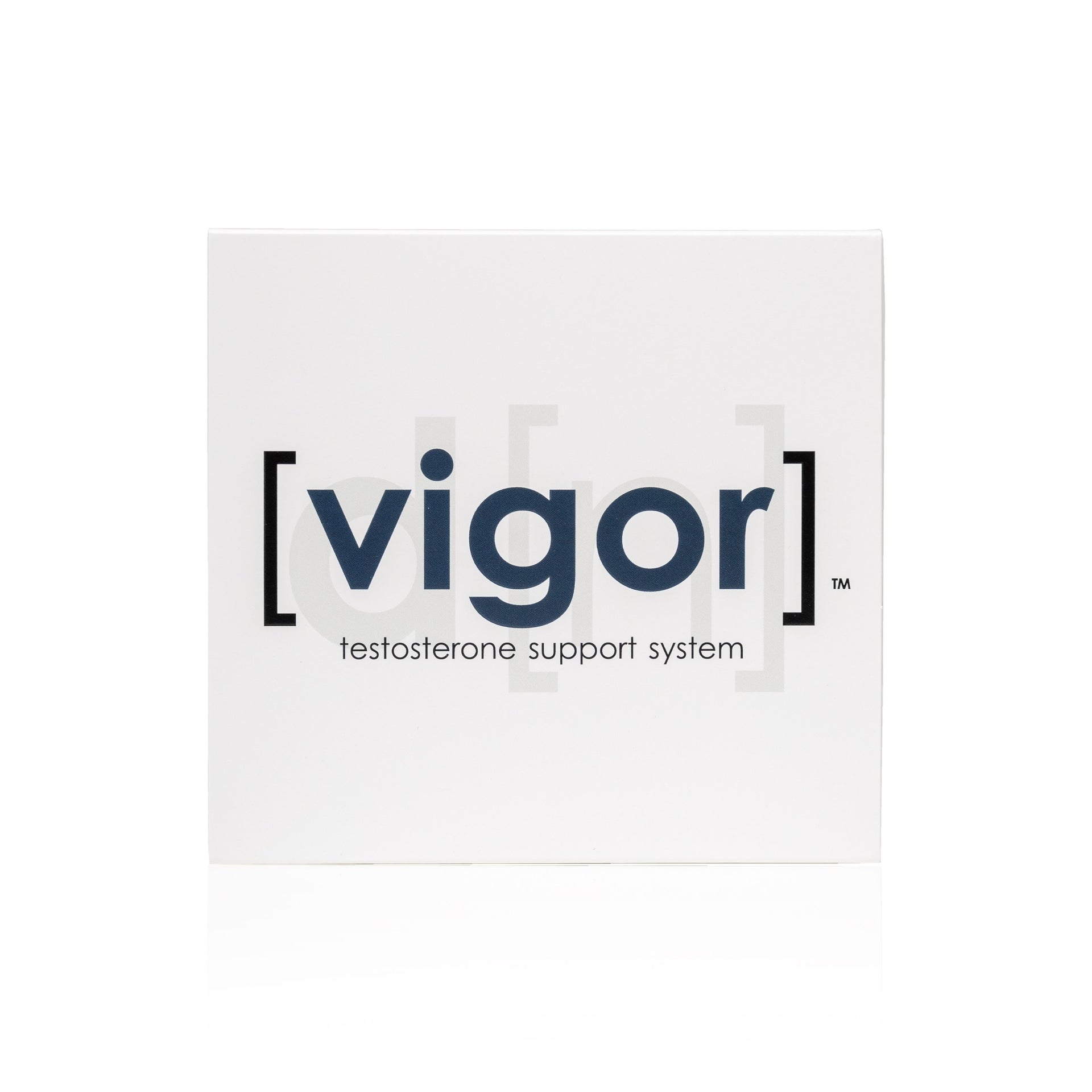 define[vigor]